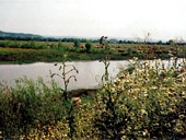 gajna 3