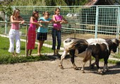 Zoo u Ruščici