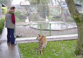 Zoo u Ruščici